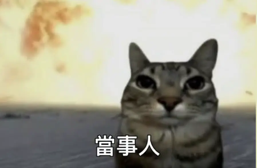 截圖 2026 07 20 下午1.29.38